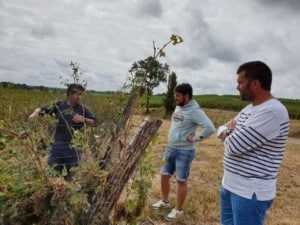 Visite en urgence auprès des viticulteurs gersois touchés par la grêle